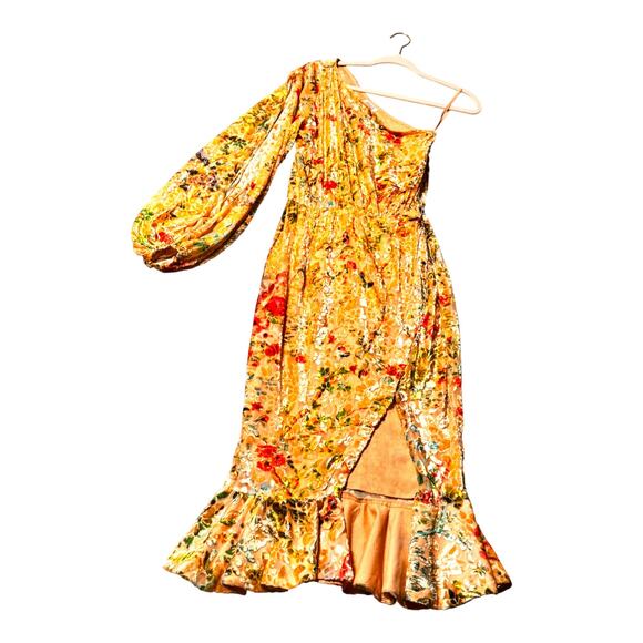 Hemant and Nandita womens dress XS Burnout Velvet one shoulder midi floral - Picture 3 of 9